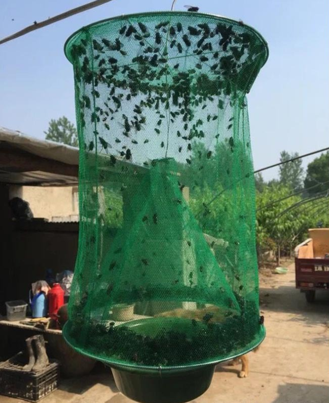 Farm park community hand-suspended room outdoor green fly trap cage fly cage